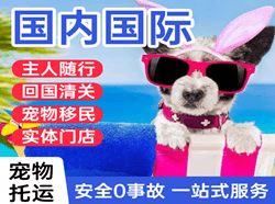 阿里昆莎机场托运国际宠物托运 【国